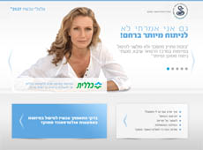 מיניסייט לאינסייטק