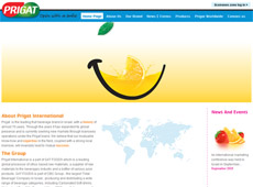 Prigat.com