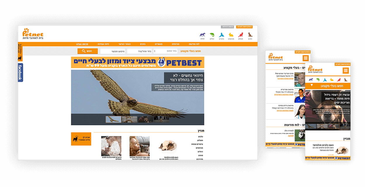 עיצוב ופיתוח פורטל החיות הגדול בישראל Petnet.co.il