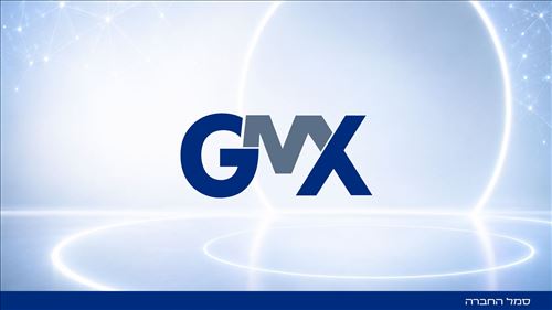 מיתוג לחברת GmxSystems