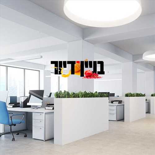 בניין ודיור - BVD