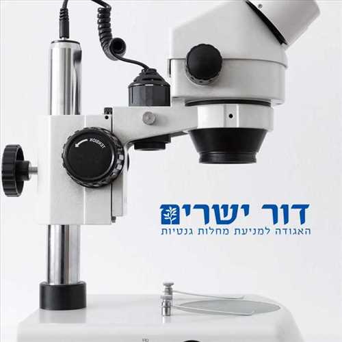 דור ישרים