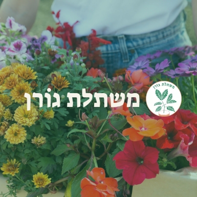 משתלת גורן