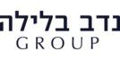בניית אתר ל- קבוצת נדב בלילה