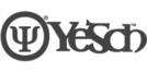 בניית אתר ל- Yesch